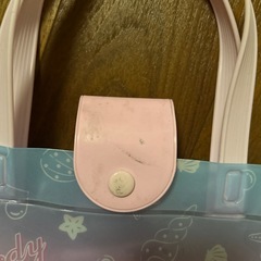 ⑩プールバッグの画像
