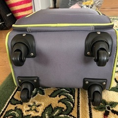 アツキオオニシの布製キャリーバッグ◆の画像