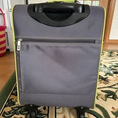 アツキオオニシの布製キャリーバッグ◆の画像