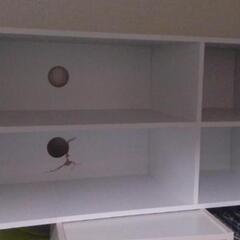 （傷あり）不二貿易 テレビ台譲ります