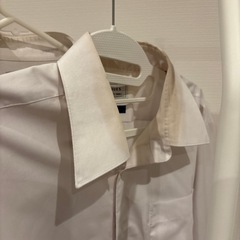 ワイシャツの画像
