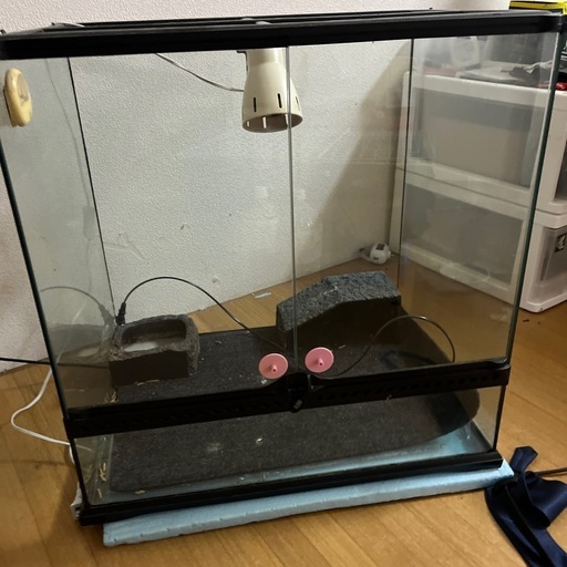 GEX グラステラリウム　爬虫類ケージ