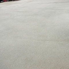 極厚カーペット200cm*250cmの画像