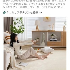 極厚カーペット200cm*250cm