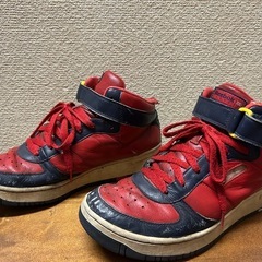 Reebokの靴の画像