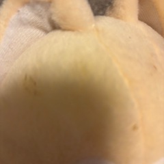 犬のぬいぐるみ　訳ありの画像