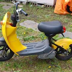 SUZUKI チョイノリ(CZ41A) 希少①の画像