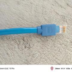 cat6a LANケーブル0.5ｍの画像