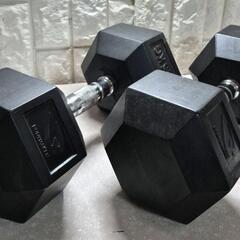 六角ダンベル25KG2つセット (TARO) 南が丘のフィットネス