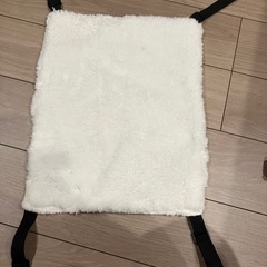 猫ちゃん  ハンモックの画像