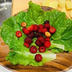 ラズベリーの樹の画像