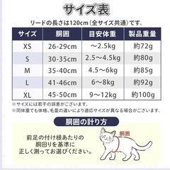 小動物用ハーネス＆リードの画像