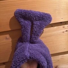 テレタビーズ　着ぐるみ　Mサイズの画像