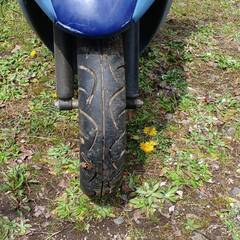 HONDA DIO AF34の画像