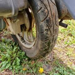 HONDA DIO AF34の画像