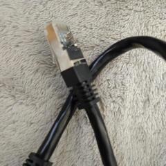 cat6a LANケーブル1.5ｍの画像