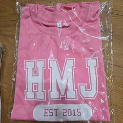 メッシュ生地Tシャツ SとMサイズ
