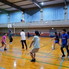 排球❗❗🏐