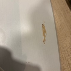 折り畳み机の画像