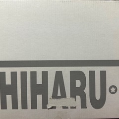 松山千春 コンサートグッズ 健康サンダルの画像