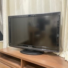 Panasonic VIERA TH-39A305 39インチ (ベリル) 荒子川公園の