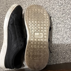 24cm中古プーマの靴の画像