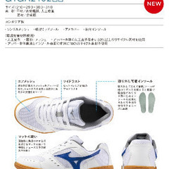 インドアシューズ（体育館シューズ/ミズノ24.5㌢）の画像