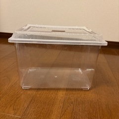 決まりましたの画像