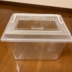 決まりましたの画像