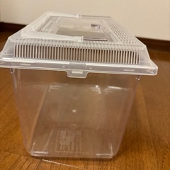 決まりましたの画像
