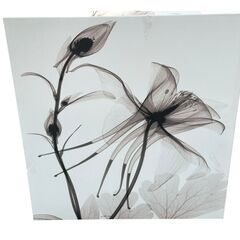 【決まりました】◻【美品】インテリアアートパネル X線 レントゲン３枚セットの画像