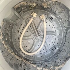 【決まりました】🔥激安🔥【⭐️全額返金保証⭐️】◻ ニトリ 全自動洗濯機 NTR60 2019年製の画像