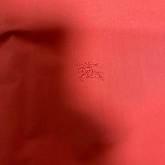 BURBERRYアウターの画像