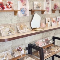 新品　未使用　ヘアアクセ　No268の画像