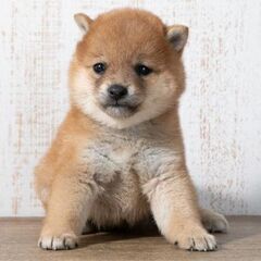 毒親育ち同士で仲良しなりたい