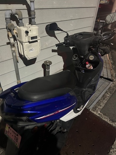 シグナスx  4型