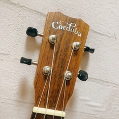Cordobaウクレレ/美品/付属品あり 12000円お譲りします♡の画像