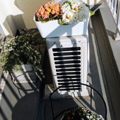 プランタースタンド　＋　皿　植物にの画像