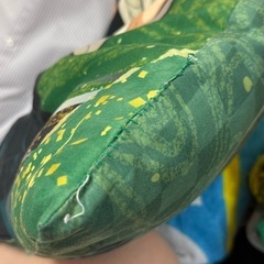 鬼滅の刃　風柱　不死川実弥　クッションの画像