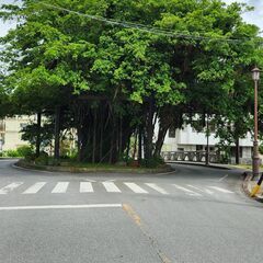 眠れません。