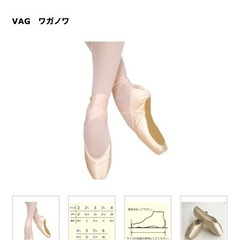 バレエ　新品　グリシコトゥシューズ　【ワガノワ】の画像