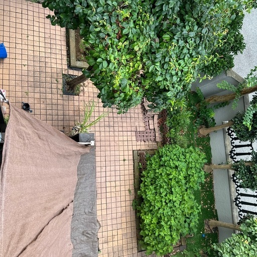 テラコッタ　タイル