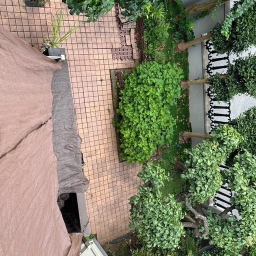 テラコッタ　タイル