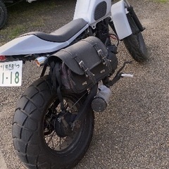 鹿屋市から自賠責付き　tw200カスタム　セル　キック始動の画像