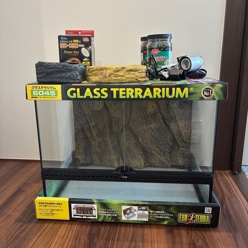 爬虫類 グラステラリウム 飼育セット (soe) 鶴間のその他の中古