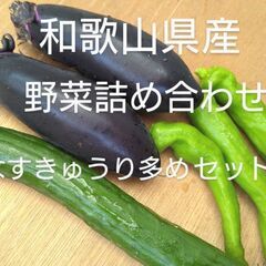 野菜詰め合わせ　5kg　なすきゅうり多め