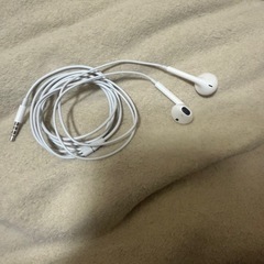 Apple純正3.5mm有線イヤホンの画像