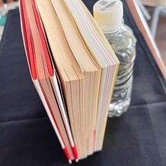 中国嫁日記など漫画本いろいろ（4冊）の画像