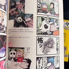 中国嫁日記など漫画本いろいろ（4冊）の画像