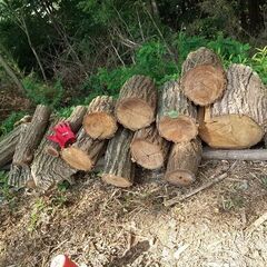 （軽トラ 荷台半分ほど）★★薪（焚き木）用材／広葉樹（クルミ・ヤマザクラ・ニセアカシア 等 混在）／枝木材＆半端材★★の画像